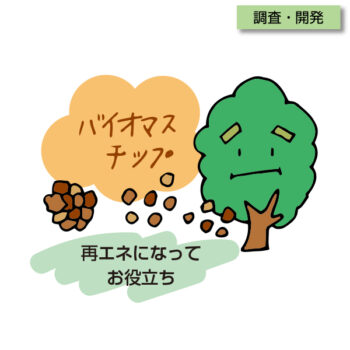 C-0016　バイオマスチップ