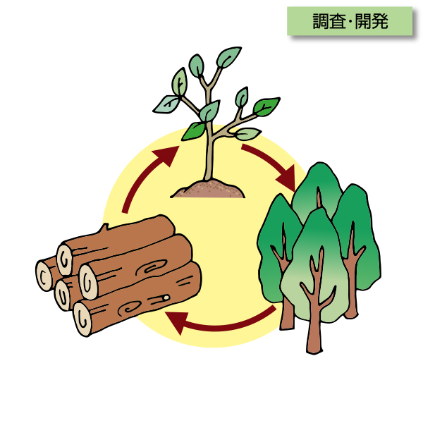 C-0018　木材利用の促進